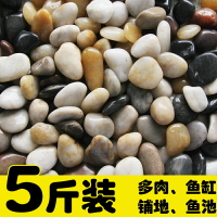 石頭天然南京鵝卵石花盆園藝鵝卵石魚缸裝飾小石子庭院五彩