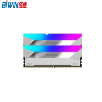 BIWIN佰維 DDR5 6000頻率 臺式機內存條悟空 DX100炫光RGB燈條C30【Snowbelle優選】