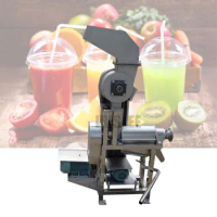 Eco-Friendly Apple Cold Press Machine Commercial Screw Type Juicer Squeezing