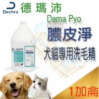 膿皮淨的價格推薦 2021年12月 比價比個夠biggo