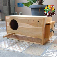 GLODOK FALK CONURE BAHAN KAYU JATI MANTAP