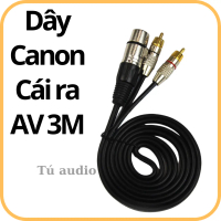 Dây Canon Cái ra 2 đầu AV ( dành cho từ Vang ra Sub Điện) 3M