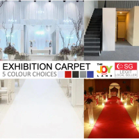 Red Carpet Event Carpet White Black Blue Grey Carpet Wedding Aisle Runner Party Carpet 2mm 5mm Thick