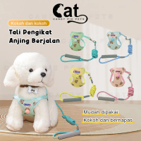 Rompi Kucing Tali Tuntun Tali Kucing Murah Herness Kucing Aksesoris Hewan Kucing