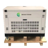 High Quality 30KW 33KW Single or 3 Phase Silent Dual Fuel Portable Generator Set Natural Gas Biogas LPG Petrol Gasoline Genset