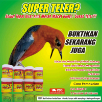 Vitamin burung Anis merah,  super teler ampuh mengatasi Anis merah macet bunyi
