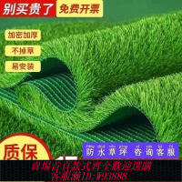 人造草皮 仿真草坪地毯樓頂隔熱屋頂人工隔音戶外陽臺幼兒園人造草皮裝飾
