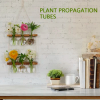 Plant Propagation Station Kit 6 Bulb Vase Double Layer Plant Terrarium Wall Hanging Novel Flower Bulb Vase with Wooden Stand