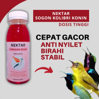 Nektar Sogon Konin Kolibri Kelapa Juragan Kicau Dosis Tinggi Biar Cepat Gacor Nextar Sirup Pakan Mak