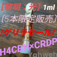 h4cbhの価格比較なら-2025年12月 | BigGo日本