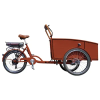 China Lowest Price Electric Cargo Tricycle/Three 3 Wheel Motorcycle Motorized Bike