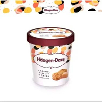 Es Krim Haagen-Dazs Pint 473ml - Ice Cream Haagen-Dazs Pint 473ml - Haagen-Dazs Caramel Biscuit