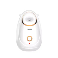 Professional Hot And Cold Warm Prive Label Digital Mist Sprayer Nano Face Spa Ionic Humidifier Steamer Facial