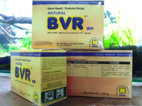 (Bvr) Beuveria Bassiana Pengendali Hayati Alami Pestisida Alami Tbk