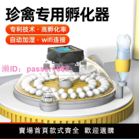 孵化器小型家用全自動孵化機智能小飛碟孵蛋器鸚鵡蘆丁雞鳥蛋孵化