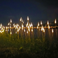 亞克力尖頭蘆葦燈led插地燈草地美陳亮化裝飾景觀燈可定制太陽能1入