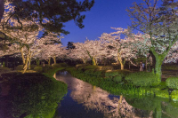 Daiwa Roynet Hotel Kanazawa Miyabi
