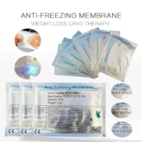 Accessories Parts Antifreeze Membrane Gel Pad For Fat Freezing Equipment Slimming 40K Cavitation Rf Skin Tightening Lipo Laser