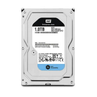 Western Digital SE 1TB Datacenter Hard Disk Drive - 7200 RPM SATA 6 Gb|s 128MB Cache 3.5 Inch (WD100