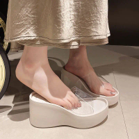 Transparent Belt High Heel Platform Slippers Women's Outer Wear Summer 2025 New Muffin Increased by 