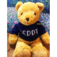 【TEDDY HOUSE泰迪熊】泰迪熊玩具玩偶公仔絨毛娃娃毛衣富樂王子泰迪熊特大