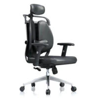 Kanbani Ergonomic Computer Chair Home Office Chair Boss Chair Student Chair Gaming Chair Reclining Waist Double Back Mesh Chair
