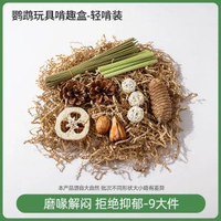 鸚鵡解悶自嗨玩具發泄磨牙耐咬啃咬小太陽牡丹虎皮通用鳥兒玩樂盒