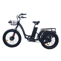 Three Wheels Adult Electric Tricycle Cargo Electric Bike, Electric of Road Tricycles 48v Fat Tire Leather Customizable Open 5-7h
