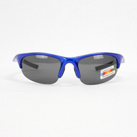 [C917-BL-P] 太陽眼鏡 單車墨鏡 Polarized UV400 台灣製 出清品 藍