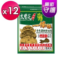 【太醫苑金牌】一條根青草關鍵精油貼-10包超值組(加贈2包)