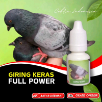 Vitamin Jamu Merpati Giring Keras Balap Kolong Tinggian