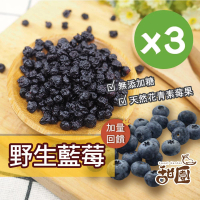 【甜園】無糖野生藍莓 60gx3包(無添加物、天然水果乾、新鮮水果製成、低溫烘焙、保留原味)