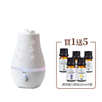 【Warm】雙噴頭香薰機薰香機加濕器超音波負離子水氧機W-220白(加來自澳洲進口精油x5瓶)