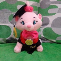 Boneka Wisuda Kucing / Merry Cat Plus Pin dan Bordir Nama 30 cm