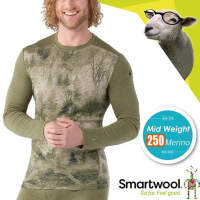 【SmartWool】男 NTS Mid 250 100%美麗諾羊毛 保暖圓領長袖上衣(SW016350-M15 苔蘚綠森林)