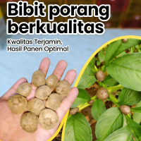 Bibit Porang Isi 200-300 (1KG) Kualitas Terjamin Hasil Panen Optimal untuk Pertanian Berkualitas