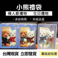 🧸台灣現貨🧸情人節 新款禮盒 泰迪熊 小熊 公仔 玩偶 布娃娃 毛絨玩具 情人節送女友生日禮物 送女友 禮物 交換禮物