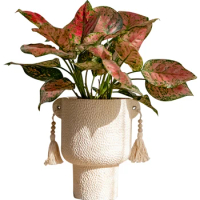 Binaural Tassel Cement Flower Pot Vase New Creative Design Tall Green Radish Succulent Flower Pot Ins