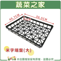 【蔬菜之家005-C04】米字端盤(大)長56.5cm*寬40.7cm*高7cm
