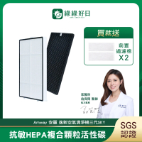 【綠綠好日】適用 Amway 安麗 逸新空氣清淨機三代 SKY(HEPA抗敏濾芯 蜂巢顆粒活性碳 濾棉x2)