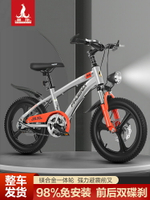 鳳凰兒童自行車中大童5-6-10-12歲20寸小學生男女孩腳踏公主單車