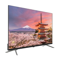 AIWA 愛華  43吋 HDR Google TV 智慧聯網液晶顯示器-AI-43UD24 -含安裝