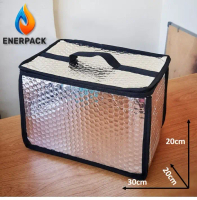 TAS ALUMUNIUM FOIL EKONOMIS Warm Bag Cooler Bag - Frozen Food EP-004