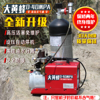 大黃蜂高壓打氣機30mpa高壓氣泵40mpa型單缸水冷電動充氣泵沖氣