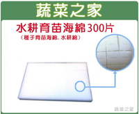【蔬菜之家005-D34-300】水耕育苗海綿.泡綿(1片內切96塊)300片