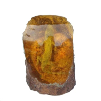 Amber specimen small animal living protolith Gecko Lizard chongpo rare fossil ornament