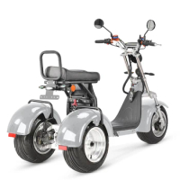 Swing three-wheel off-road 3 wheel electric scooter 1500w 2000w 40 Ah Removable Lithium Battery Electric Tricycle