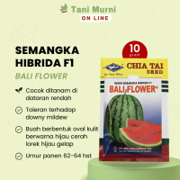 Q&J Benih Semangka Hibrida F1 Bali Flower 20 Gr Benih Semangka Super Big SaleFu654