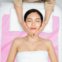 Bed Cover 78.74 cm x 180.34 Centimeter Massage Table Sheet Non-Bed Cover for Spa Beauty Salon an