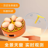 迷你孵蛋器 1枚4 6枚雞蛋孵化器 小型家用全自動兒童智能小雞孵化機 交換禮物全館免運